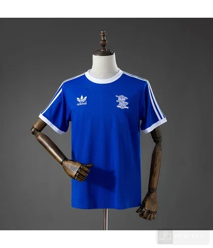 Camiseta retro Birmingham City local 1977/78